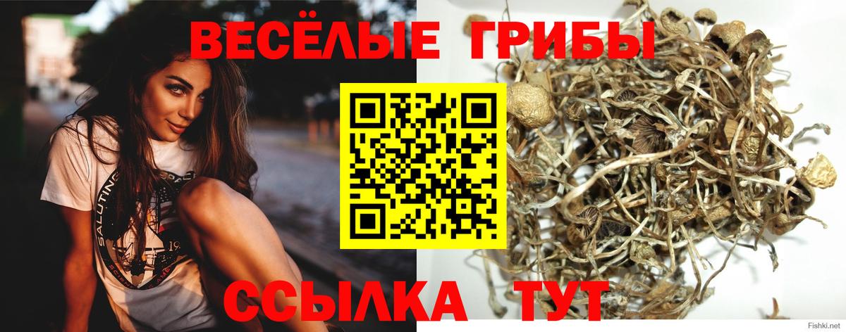 Галлюциногенные грибы Psilocybe  Вход с VPN  Псилоцибиновые грибы мухоморы  Воронеж 