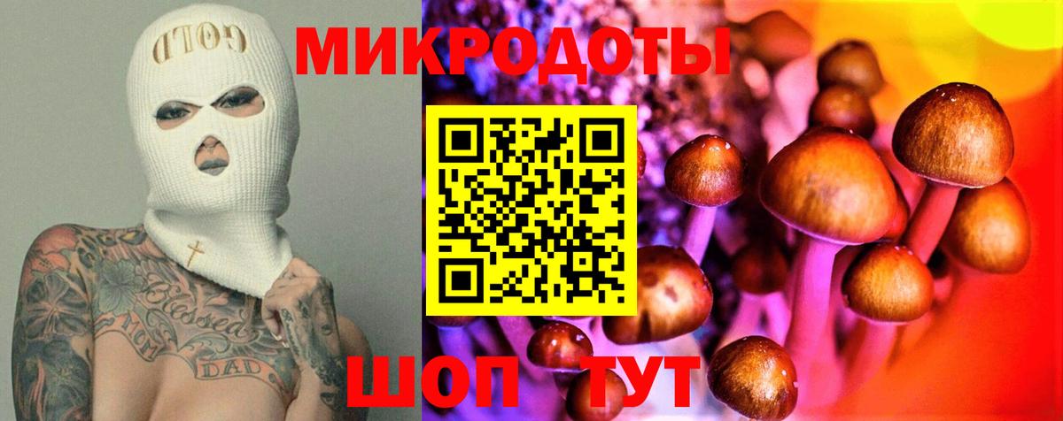Псилоцибиновые грибы Psilocybe Воронеж
